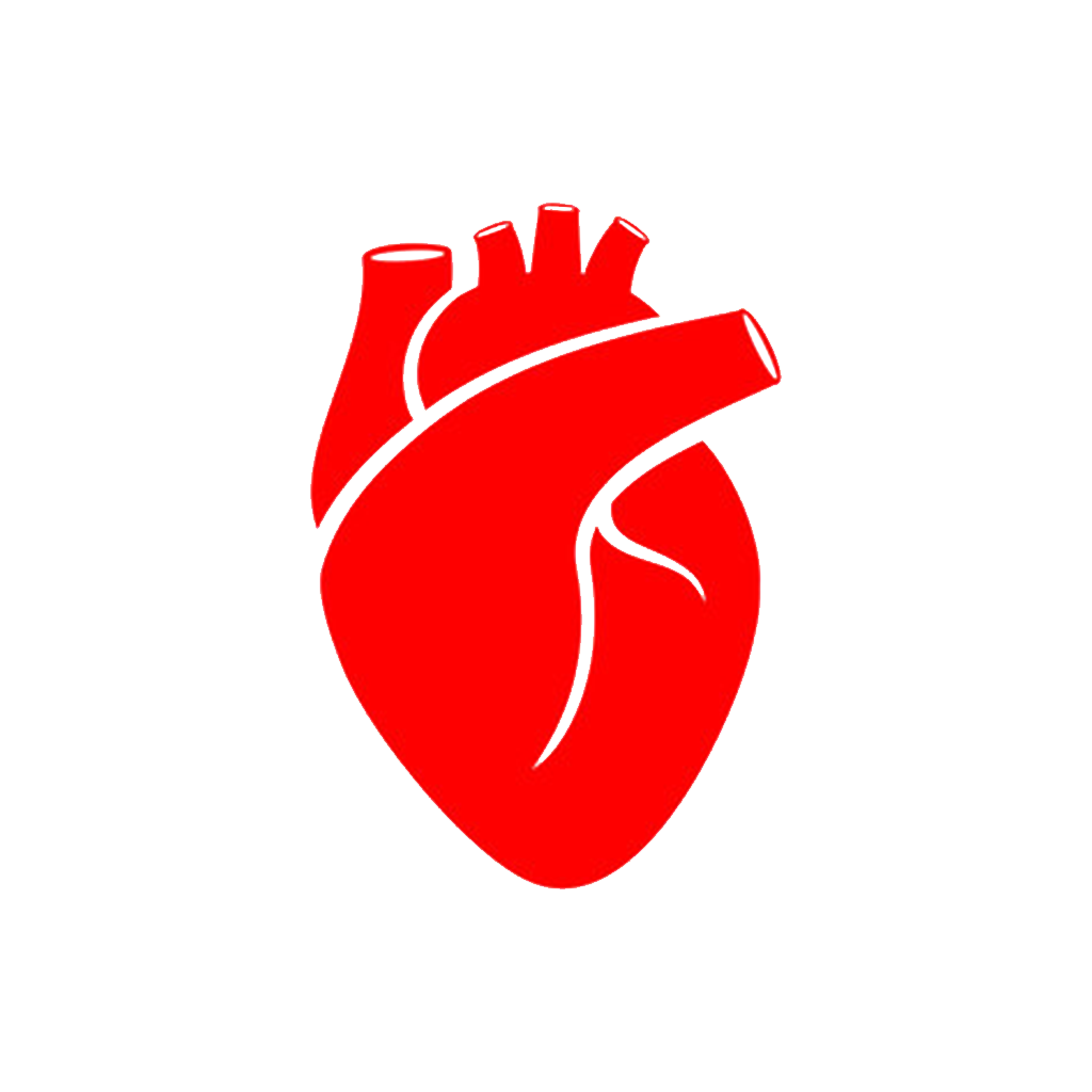 Cardiology